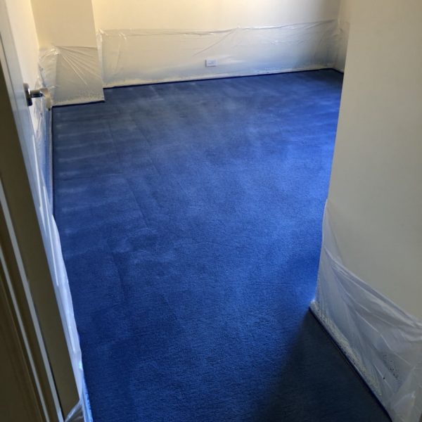 Sydney Carpet Dyeing - A & A Spectrum